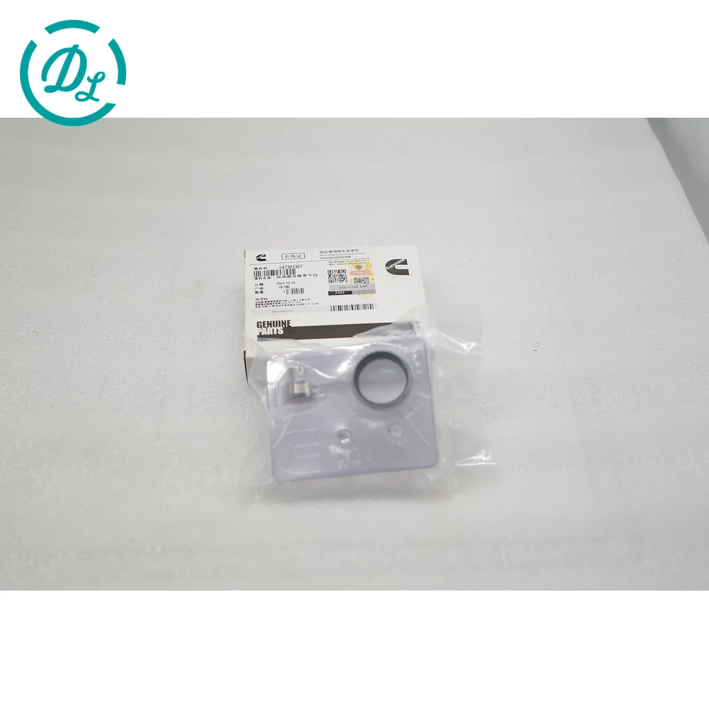 5473013EF Engine Replacement Part for Excavator and Diesel Equipment, OEM/reference 5473013EF, Engine Replacement Part, product view 2