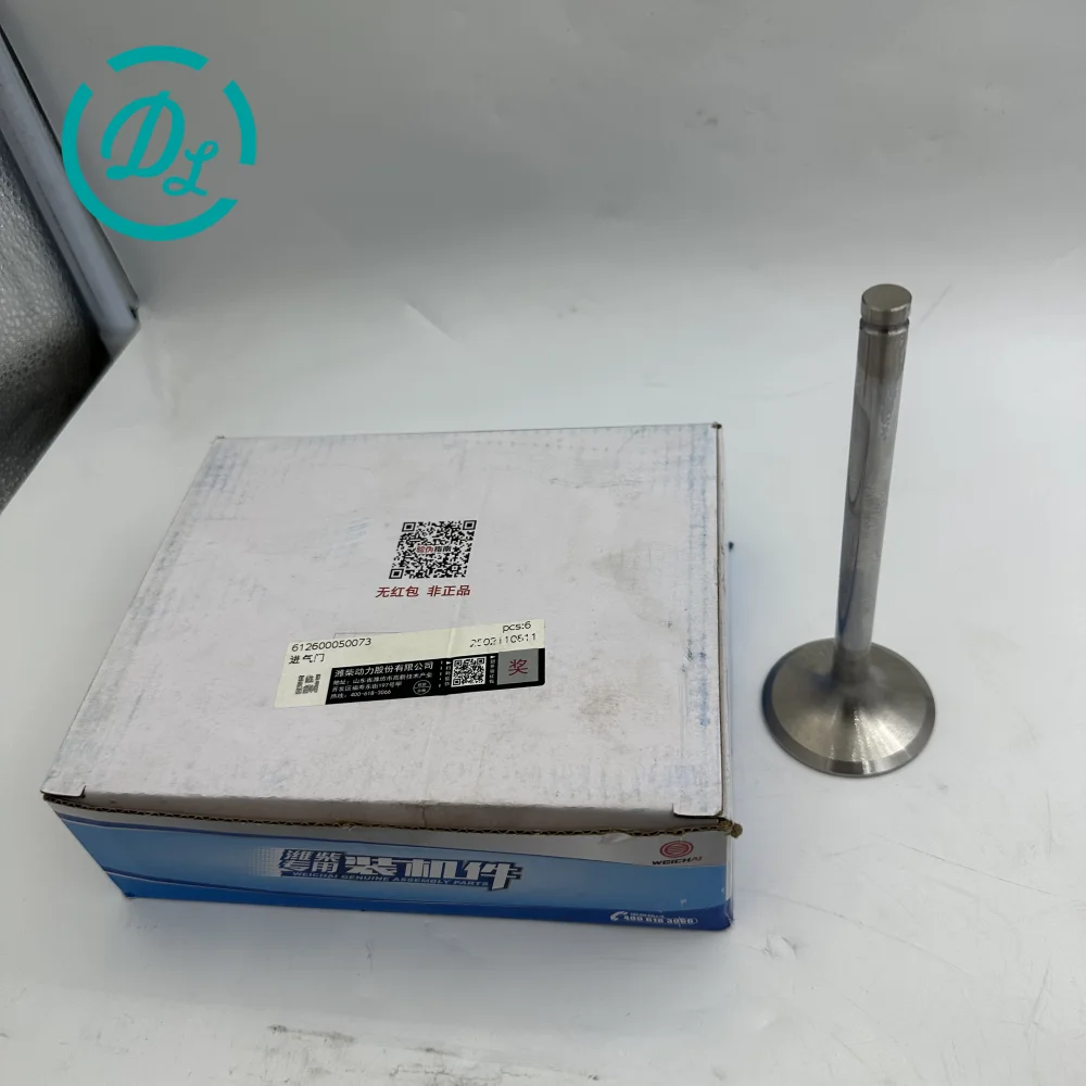 612600050073 Engine Replacement Part for Excavator and Diesel Equipment, OEM/reference 612600050073, Engine Replacement Part, product view 1
