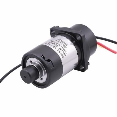 pt207812985-eexcavastart_ac2_1000_ac1000_excavator_throttle_motor_12vdc_high_quality