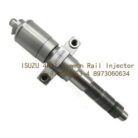 pt207888120-eexcavastart_isuzu_4hk1_common_rail_injector_8_97306063_4_8973060634