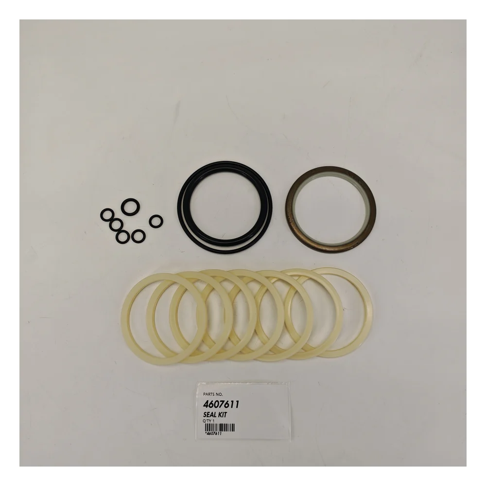 4607611 Seal Kit, OEM/reference 4607611, 4607611 Seal Kit